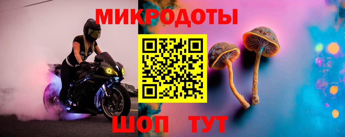 Тихорецк  Псилоцибиновые грибы Psilocybe  Вход с VPN  Галлюциногенные грибы мухоморы 